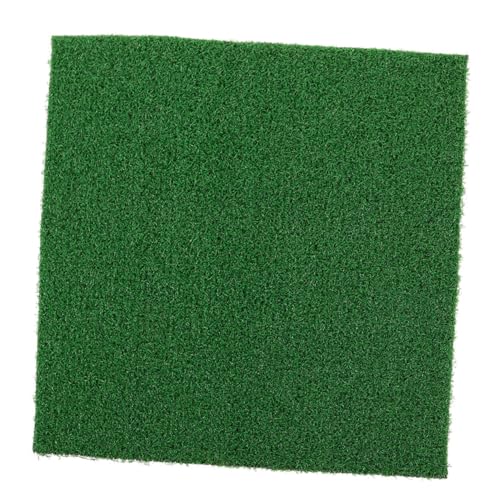 DINHEAROM Künstliche Grasmatte für Terrarien und Aquarien Rasen Design als Sonnenplatz für Reptilien und Tierzubehör Langlebiges Material Vielseitige Anwendung DINHEAROM Künstliche Grasmatte für Terrarien und Aquarien Rasen Design als Sonnenplatz für Reptilien und Tierzubehör Langlebiges Material Vielseitige Anwendung von DINHEAROM