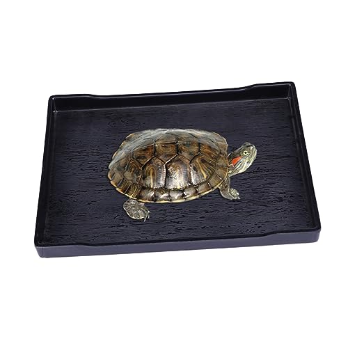 DINHEAROM Reptilien Futter Und Wasserbehälter Große Schwarze Schale Für Schildkröten Zum Trinken Und Baden rutschfest Und Leicht Zu Reinigen Unzerbrechliches Design Geeignet Für DINHEAROM Reptilien Futter Und Wasserbehälter Große Schwarze Schale Für Schildkröten Zum Trinken Und Baden rutschfest Und Leicht Zu Reinigen Unzerbrechliches Design Geeignet Für von DINHEAROM