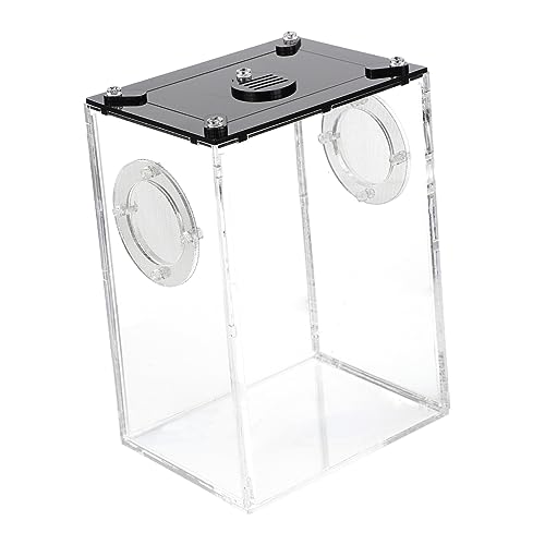 DINHEAROM Reptil Zuchtbox Aus Acryl Transparente Terrarien Für Echsen Chameleons Und Andere Reptilien Mit Belüftungslöchern Für Optimale Luftzirkulation Und Einfache Reinigung Für DINHEAROM Reptil Zuchtbox Aus Acryl Transparente Terrarien Für Echsen Chameleons Und Andere Reptilien Mit Belüftungslöchern Für Optimale Luftzirkulation Und Einfache Reinigung Für von DINHEAROM