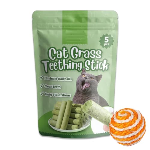 DINNIWIKL Berdexa Cat Grass Teething Stick, Cat Grass Teething Stick, Cat Grass Sticks for Indoor Cats, Natural Grass Molar Rod, Cat Grass Sticks Increase Appetite (A-1PC) von DINNIWIKL