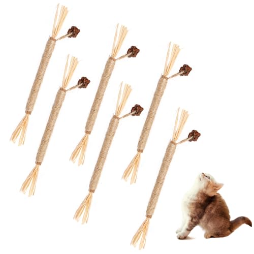 DINSONG 6 Stück Katzenminze Sticks, Katzensticks Katzenminzen Spielzeug Matatabi Stick Katzen Sticks Katzenminze Zähne Reinigung Dental Katzenspielzeug für Katzen Zahnpflege von DINSONG