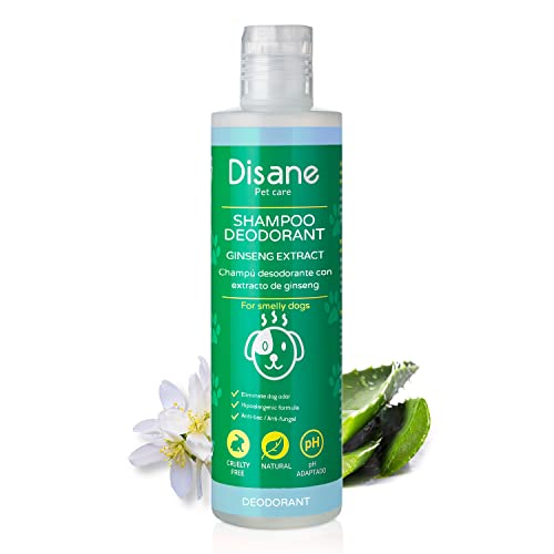 DISANE | Natürliches Deodorant Shampoo für Hunde | Antiseptisch, antimykotisch und antiba-kteriell Beseitigt schlechte Gerüche | Geeignet für empfindliche Haut 250 ML von DISANE