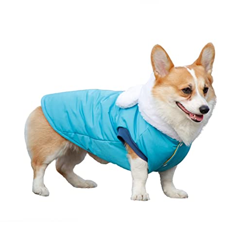 DISATI Hundeweste, Hundebekleidung Winter Haustier Mantel Outfit Pudel Schnauzer Hundejacke Kleidungsstück wasserdichte Kleidung for Hundekostüm Hundekleidung (Color : Blau, Size : L) von DISATI