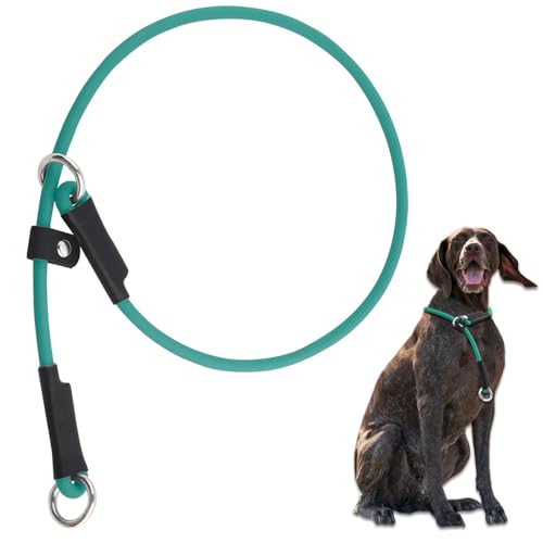 Hundehalsband für Ausstellungshalsband, Hundetrainingshalsband – 55,9 cm, rutschfestes Hundehalsband, leicht, verstellbar, wasserdicht, PVC, kein Ziehen, Hundehalsband, Grün von DISCPETSEC