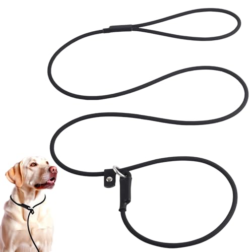 Retrieverleine für Hunde, wasserdicht, 1,8 m, 1,8 m, Hundetrainingsleine, Schlupfhalsband, Hundeleine, für kleine, große, mittelgroße Hunde (1,8 m x 0,6 cm) von DISCPETSEC