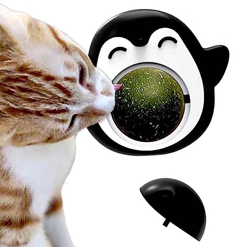 DISPRA Katzenball – Minze um 360 Grad drehbar in niedlicher Pinguin-Form | Kau-Snacks für Kätzchen, Katzenspielzeug zum Beißen für die Reinigung der Zähne, Mundpflege von DISPRA