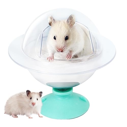 DISPRA Sandbad für Hamster, Badewanne für Hamster mit Raum, Badewanne für Chinchilla, Badeschale für Hamster, komplett transparente Sicht, Sandkasten, leicht zu verwenden von DISPRA