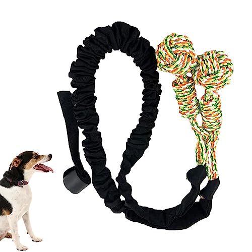 DISPRA Zerrspielzeug für große Hunde - Robustes Seilspielzeug für Hunde Tauziehen | Interaktives, unzerstörbares Kauspielzeug für Hunde, aggressives Kauspielzeug für kleine, mittelgroße und große von DISPRA