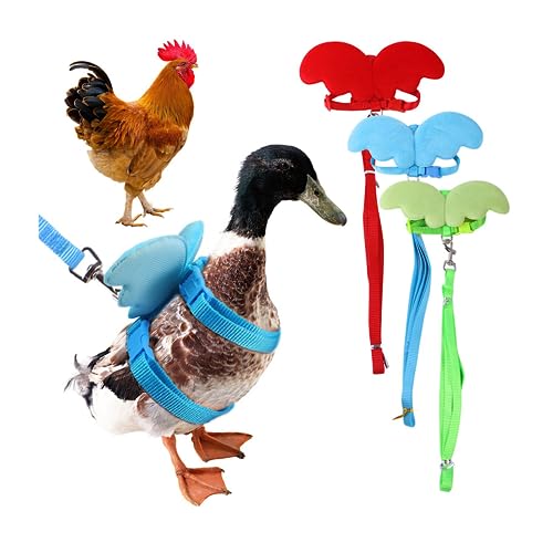 Huhn, Ente, Gänseflügel, Brustgurt, Traktionsseil - Niedliches Engelsflügel-Design (Geeignet für Kleintiere, Menge 3, Rot, Grün, Blau) von DIUKES