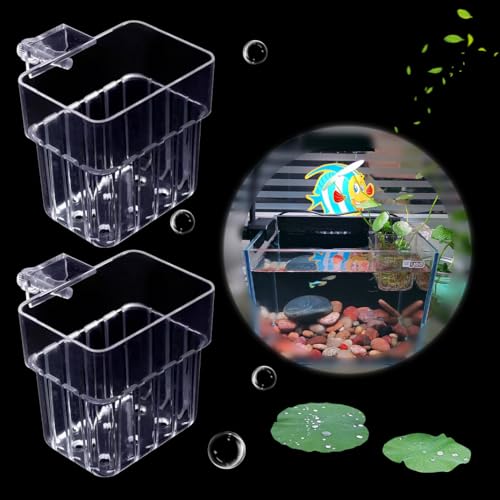 Aquarium-Pflanzenhalter mit 6 Löchern, transparent, Acryl, zum Aufhängen, Wasserpflanzentopf für Aquarium, Dekoration, Pflanzenzucht, Aquarium-Dekorationen, 2 Stück von DIYBravo