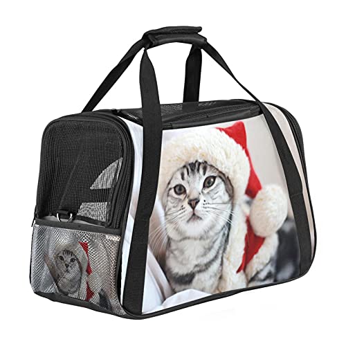 Pet Travel Carrier Bag, tragbare Pet Bag - Klappbarer Pet Carrier-Stoff, Travel Carrier Bag für Hunde oder Katzen, Pet Cage mit abschließbaren Sicherheitsreißverschlüssen, süße Katze auf Weihnachtsmütze von DIYOF