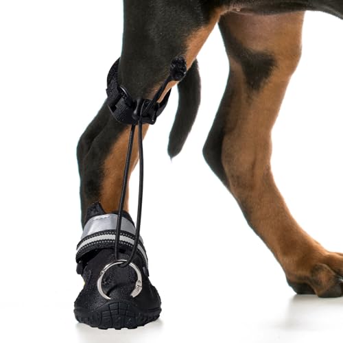 Stiefelbandage für Hunde ohne Knöchel, strapazierfähige Hundestiefel für Hinterbeinstützen für Hunde, ideal für neurologische Probleme, Fce, DM und Pfoten-Knuckling, Hundeschiene Vorderbein, von DIYTOOLSMAN