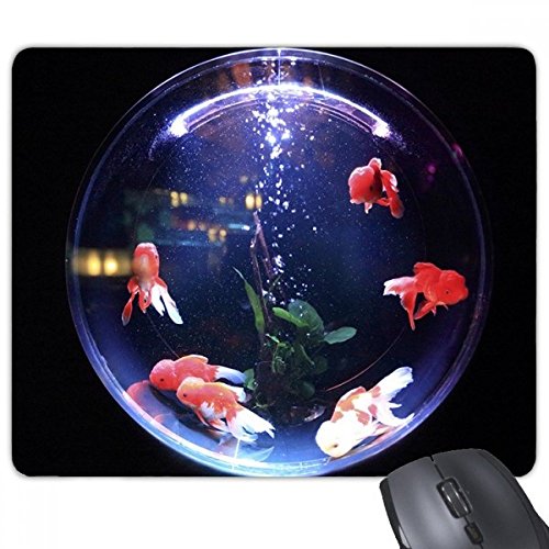 beatChong Bunte Seefisch Wissenschaft Natur Bild Rechteck Griffige Gummi Mousepad Spiel Mauspad Geschenk von DIYthinker