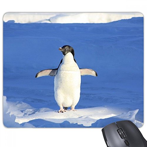 beatChong Netter weißer Penguin Science Natur Bild Rechteck Griffige Gummi Mousepad Spiel Mauspad Geschenk von DIYthinker