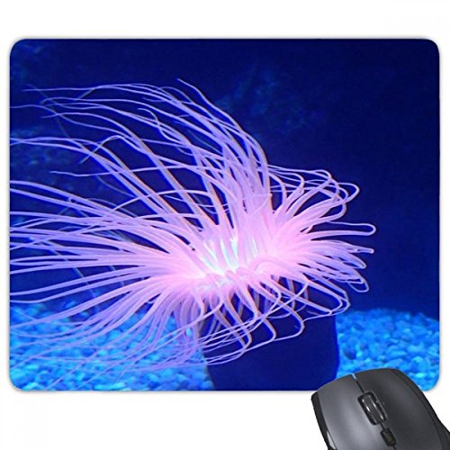 beatChong Ocean Blue Qualle Wissenschaft Natur Bild Rechteck Griffige Gummi Mousepad Spiel Mauspad Geschenk von DIYthinker