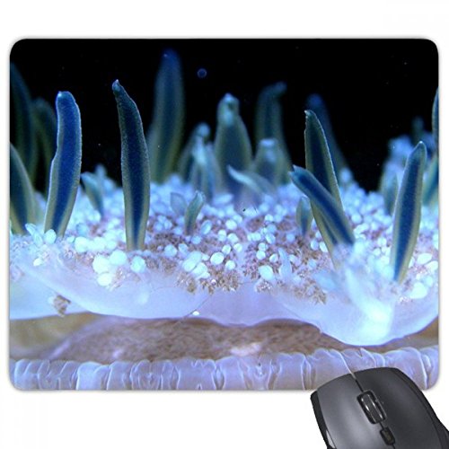 beatChong Ocean Blue Qualle Wissenschaft Natur Bild Rechteck Griffige Gummi Mousepad Spiel Mauspad Geschenk von DIYthinker