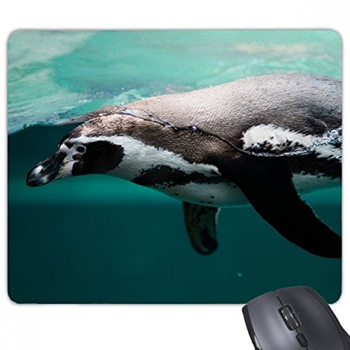 beatChong Ocean Deep Blue Penguin Wasser Bild Rechteck Griffige Gummi Mousepad Spiel Mauspad Geschenk von DIYthinker