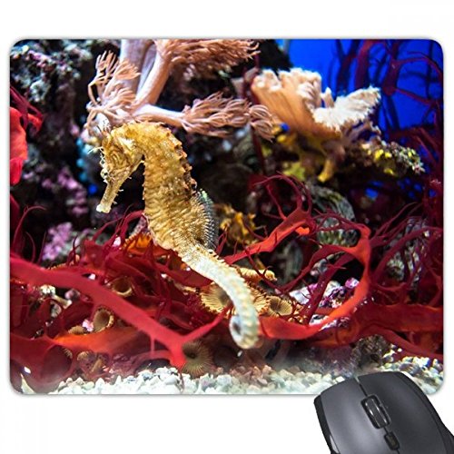 beatChong Ocean Deep Wasser-Blau Hippocampus Wasser Bild Rechteck Griffige Gummi Mousepad Spiel Mauspad Geschenk von DIYthinker