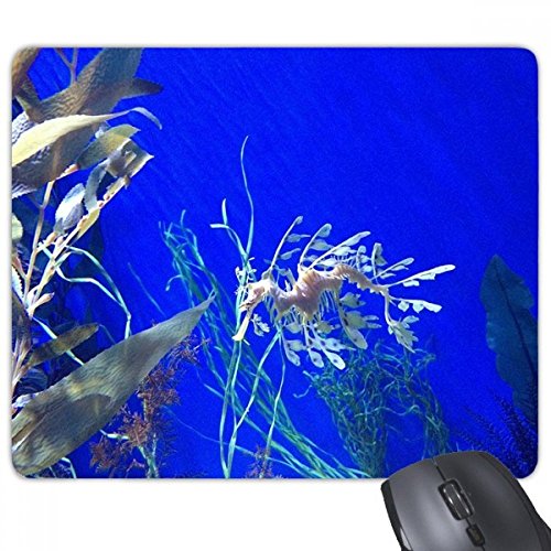 beatChong Ocean Deep Wasser-Blau Hippocampus Wasser Bild Rechteck Griffige Gummi Mousepad Spiel Mauspad Geschenk von DIYthinker