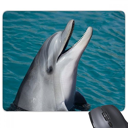 beatChong Ocean Water Dolphin Wissenschaft Nature Picture Rectangle Griffige Gummi Mousepad Spiel Mauspad Geschenk von DIYthinker