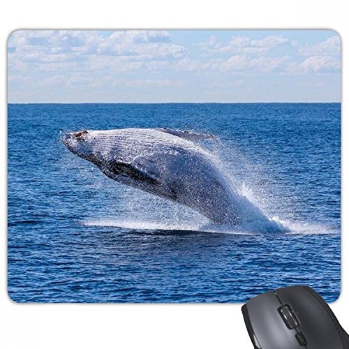 beatChong Ozean Buckel Fisch Wissenschaft Natur Bild Rechteck Griffige Gummi Mousepad Spiel Mauspad Geschenk von DIYthinker