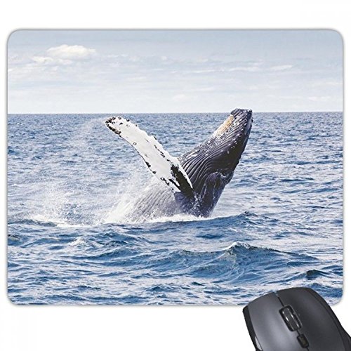 beatChong Ozean Buckel Fisch Wissenschaft Natur Bild Rechteck Griffige Gummi Mousepad Spiel Mauspad Geschenk von DIYthinker