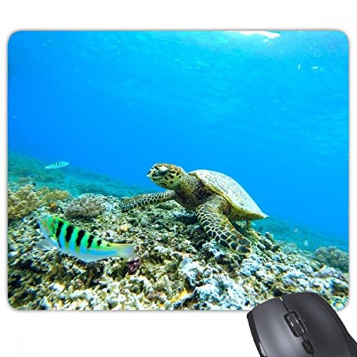 beatChong Ozean-Meeresschildkröte Fisch Wissenschaft Natur Bild Rechteck Griffige Gummi Mousepad Spiel Mauspad Geschenk von DIYthinker