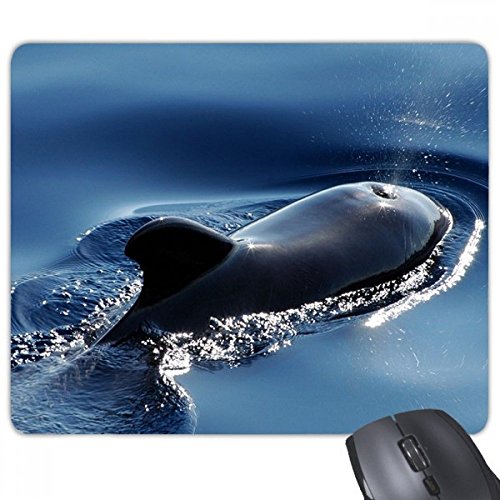 beatChong Ozean-Wasser-Meer Wal Wissenschaft Natur Bilder Rechteck Griffige Gummi Mousepad Spiel Mauspad Geschenk von DIYthinker