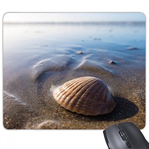 beatChong Ozean-Wasser Shell Wissenschaft Nature Picture Rectangle Griffige Gummi Mousepad Spiel Mauspad Geschenk von DIYthinker