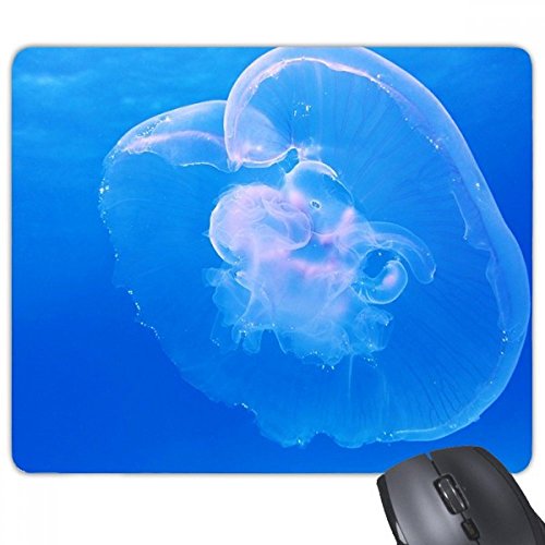 beatChong Quallen Ocean Blue Water Science Natur Bild Rechteck Griffige Gummi Mousepad Spiel Mauspad Geschenk von DIYthinker