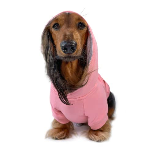 DJANGO Vollständig gefütterter Kapuzenpullover für Hunde – weiche, dehnbare und gemütliche Sweatshirts für Hunde – Quarz-Hundepullover für Dackel und kleine Hunde – warmer Hunde-Kapuzenpullover mit von DJANGO