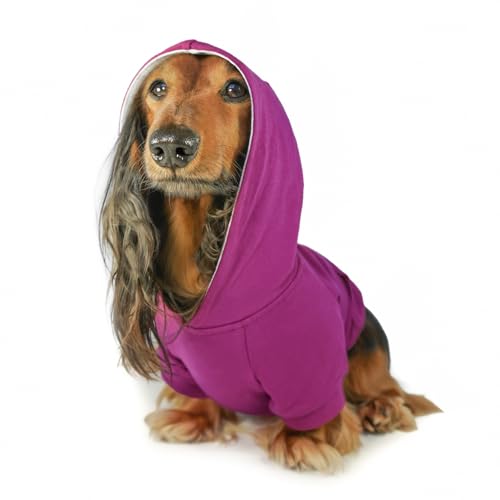 DJANGO Vollständig gefütterter Kapuzenpullover für Hunde, weich, dehnbar und gemütlich, Sweatshirt für Hunde, Winterpullover für Dackel und kleine Hunde, warmer Kapuzenpullover für Hunde mit von DJANGO