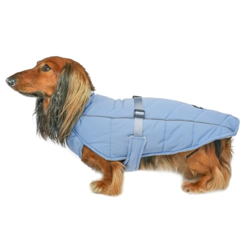 DJANGO Whistler Winter-Hundemantel, Premium-Hundejacke, warm und isoliert, wind- und wasserdicht, verstellbare, reflektierende Paspeln und leicht zugängliches Portal für die Leine, Dunkelblau, Größe L von DJANGO