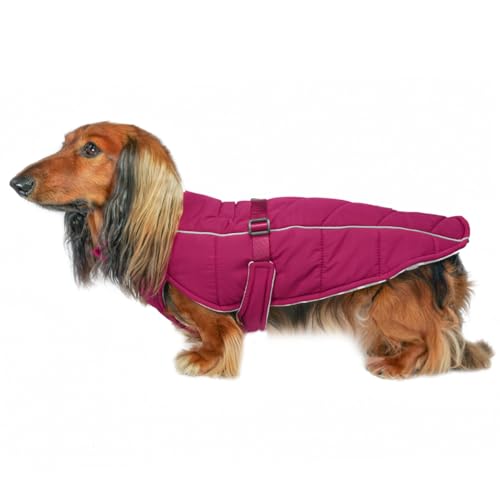 DJANGO Whistler Winter-Hundemantel, Premium-Hundejacke, warm und isoliert, wind- und wasserdicht, verstellbare, reflektierende Paspeln und leicht zugängliches Portal für die Leine (Hibiskusrosa, Größe von DJANGO