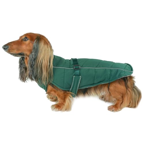 DJANGO Whistler Winter-Hundemantel – hochwertige, warme und isolierte Hundejacke mit wind- und wasserdichtem Schutz, verstellbare, reflektierende Paspeln und leicht zugängliches Portal für die Leine von DJANGO