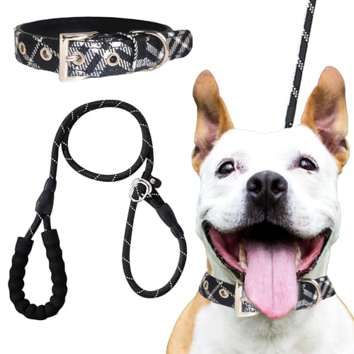 DKDDSSS 2 Stück Hundehalsband und Leine Set, Verstellbares Hundehalsband, Hundeleine mit Bequemen Gepolsterten Griff, für Mittlere Große Hunde, Schwarz von DKDDSSS