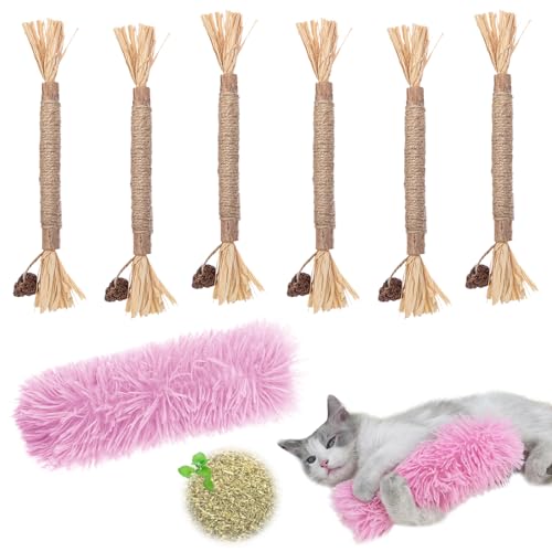 DKDDSSS 6 Stück Katzenminze Sticks Katzenspielzeug, Kausticks für Katzen, Katzen Zahnpflege Spielzeug, Kauholz Katze Catnip Sticks, Katzen Sticks, Katzensticks Zur Zahnreinigung, Katzenminze Spielzeug von DKDDSSS