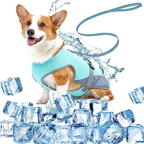 DKDDSSS Hund Kühlweste, Atmungsaktiv Hundekühlweste, Sommer Cool Hundejacke, Cooler Komfortabler Hundemantel, für Kleine Bis Mittelgroße Hunde Aktivitäten Draußen Training (Blue, M) von DKDDSSS