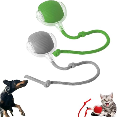 DKIIL NOIYB Katzenball Elektrisch, Wiederaufladbares Interaktives Katzenspielzeug, Katzensprint Spielzeug Power Ball 2.0, Smart Cat Toy Ball Rollender Ball, Katzenbälle für Hunde (2pcs Grün+Asche) von DKIIL NOIYB