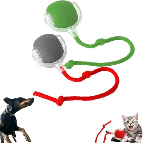 DKIIL NOIYB Katzenball Elektrisch, Wiederaufladbares Interaktives Katzenspielzeug, Katzensprint Spielzeug Power Ball 2.0, Smart Cat Toy Ball Rollender Ball, Katzenbälle für Hunde (2pcs Grün+Asche) von DKIIL NOIYB