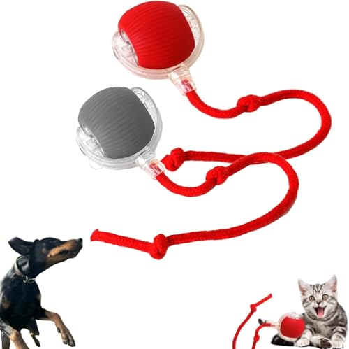 DKIIL NOIYB Katzenball Elektrisch, Wiederaufladbares Interaktives Katzenspielzeug, Katzensprint Spielzeug Power Ball 2.0, Smart Cat Toy Ball Rollender Ball, Katzenbälle für Hunde (2pcs Rot+Asche) von DKIIL NOIYB