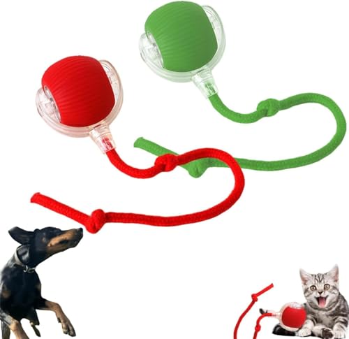 DKIIL NOIYB Katzenball Elektrisch, Wiederaufladbares Interaktives Katzenspielzeug, Katzensprint Spielzeug Power Ball 2.0, Smart Cat Toy Ball Rollender Ball, Katzenbälle für Hunde (2pcs Rot+Grün) von DKIIL NOIYB