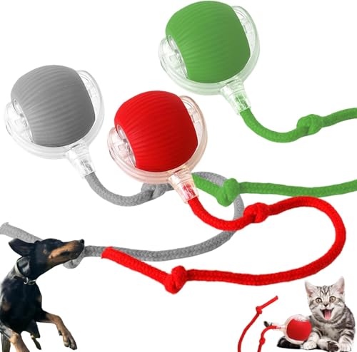 DKIIL NOIYB Katzenball Elektrisch, Wiederaufladbares Interaktives Katzenspielzeug, Katzensprint Spielzeug Power Ball 2.0, Smart Cat Toy Ball Rollender Ball, Katzenbälle für Hunde (3pcs) von DKIIL NOIYB