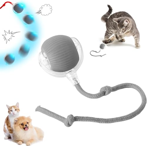 DKIIL NOIYB Katzenball Elektrisch, Wiederaufladbares Interaktives Katzenspielzeug, Katzensprint Spielzeug Power Ball 2.0, Smart Cat Toy Ball Rollender Ball, Katzenbälle für Katzen Hunde (Asche) von DKIIL NOIYB