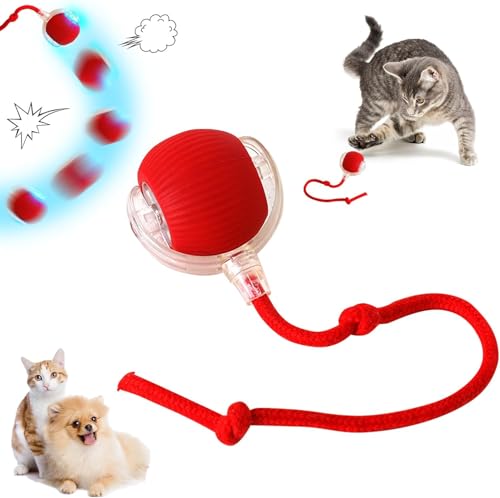 DKIIL NOIYB Katzenball Elektrisch, Wiederaufladbares Interaktives Katzenspielzeug, Katzensprint Spielzeug Power Ball 2.0, Smart Cat Toy Ball Rollender Ball, Katzenbälle für Katzen Hunde (Rot) von DKIIL NOIYB