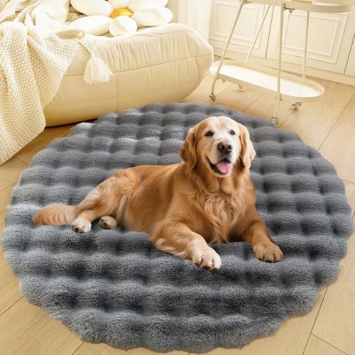 DLLDLGG Große, Waschbare Hundebettmatte, Sofakissen für Katzen, Rutschfester, Weicher, Warmer und Flauschiger Teppich, Bettvorleger, Bodendecke für Wohnzimmer, Schlafzimmer und Spielzimmer DLLDLGG Große, Waschbare Hundebettmatte, Sofakissen für Katzen, Rutschfester, Weicher, Warmer und Flauschiger Teppich, Bettvorleger, Bodendecke für Wohnzimmer, Schlafzimmer und Spielzimmer von DLLDLGG