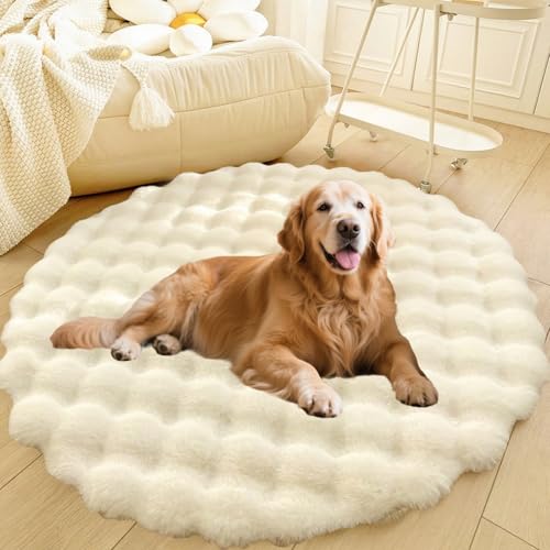 DLLDLGG Rundes Hundebett aus Plüsch, Warmes, Flauschiges und Beruhigendes Katzensofa, Waschbarer, Rutschfester, Extra Großer, Zotteliger Teppich fürs Wohnzimmer, Bettvorleger fürs Schlafzimmer DLLDLGG Rundes Hundebett aus Plüsch, Warmes, Flauschiges und Beruhigendes Katzensofa, Waschbarer, Rutschfester, Extra Großer, Zotteliger Teppich fürs Wohnzimmer, Bettvorleger fürs Schlafzimmer von DLLDLGG