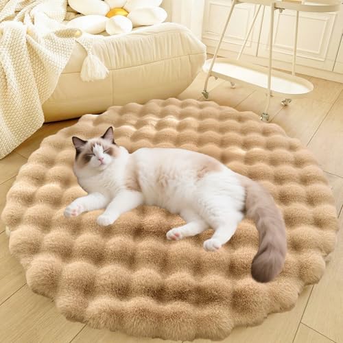 DLLDLGG Rutschfestes Hundebett, Katzentoilettenmatte, Kunstfell-Polster, Ultraweich und Maschinenwaschbar, Bequeme Hundehüttenunterlage, Indoor-Teppich für Wohnheime und Ästhetische Wohndekoration DLLDLGG Rutschfestes Hundebett, Katzentoilettenmatte, Kunstfell-Polster, Ultraweich und Maschinenwaschbar, Bequeme Hundehüttenunterlage, Indoor-Teppich für Wohnheime und Ästhetische Wohndekoration von DLLDLGG