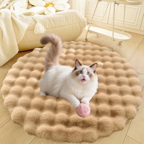 DLLDLGG Teppich für Wohnzimmer, Schlafzimmer, Flauschige Hunde- Und Katzenbettmatte, Weicher Shaggy-Teppich für Den Innenbereich, Luxuriöses, Rutschfestes Plüsch-Schlafkissen für Haustiere, Waschbar DLLDLGG Teppich für Wohnzimmer, Schlafzimmer, Flauschige Hunde- Und Katzenbettmatte, Weicher Shaggy-Teppich für Den Innenbereich, Luxuriöses, Rutschfestes Plüsch-Schlafkissen für Haustiere, Waschbar von DLLDLGG