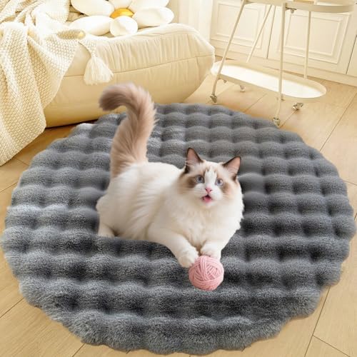 DLLDLGG Teppich für Wohnzimmer, Schlafzimmer, Flauschige Hunde- Und Katzenbettmatte, Weicher Shaggy-Teppich für Den Innenbereich, Luxuriöses, Rutschfestes Plüsch-Schlafkissen für Haustiere, Waschbar DLLDLGG Teppich für Wohnzimmer, Schlafzimmer, Flauschige Hunde- Und Katzenbettmatte, Weicher Shaggy-Teppich für Den Innenbereich, Luxuriöses, Rutschfestes Plüsch-Schlafkissen für Haustiere, Waschbar von DLLDLGG
